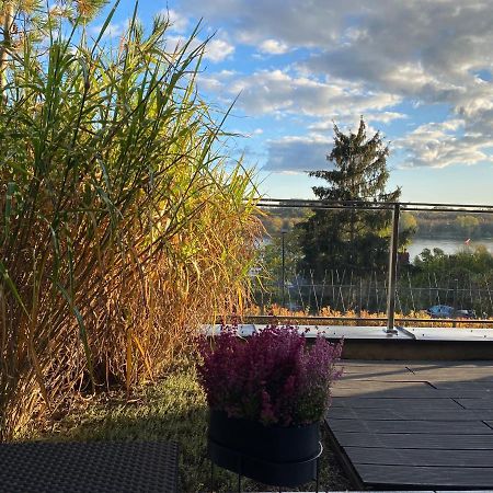Apartament Winnica Stary Toruń Exteriör bild
